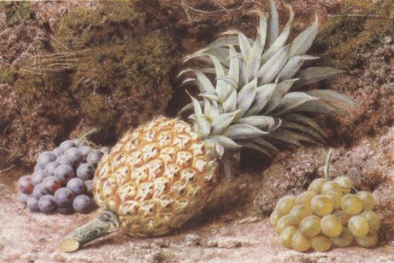 A Pineapple and Grapes on a mossy Bank (mk37)